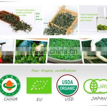 Organic morning green tea rich vitamin tea china exporters