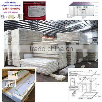 Standard Cold Room/ PU Cold Storage Room / Storage Freezer Room photo-4