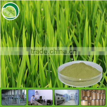 Organic wheat grass juice powder