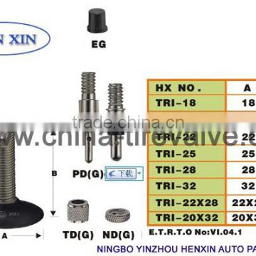 BICYCLETIRE VALVE