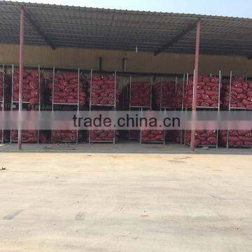China Origin Onion Ton Market Price for Red Onion