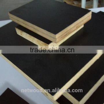 PHENOLIC POPLAR FILM FACED PLYWOOD FOR CONSTRUCTION photo-3
