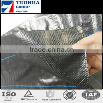 Trade Assurance Free Sample Various Sizes Anti-weed Mesh