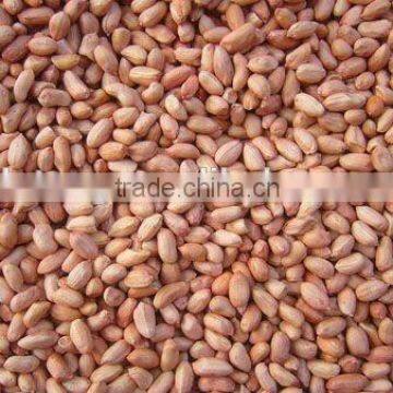 Chinese Light Peanut Kernel With Red Skin photo-5
