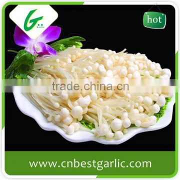 China supplier fresh enoki mushroom