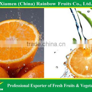 Chinese Kino Pakistani Kino Navel Orange Mandarin Fresh Orange