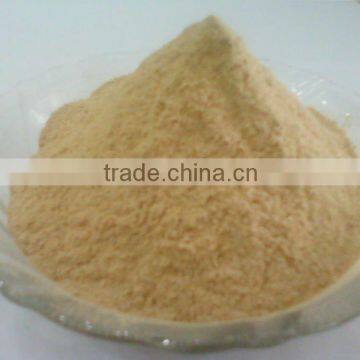 INDIAN QUALITY DEHYDRATED GARLIC POWDER FOR SUPPLY