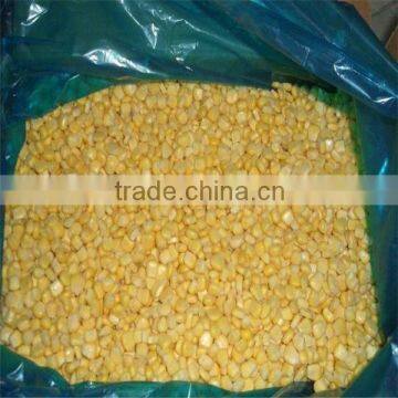 Frozen sweet corn for russia market best price