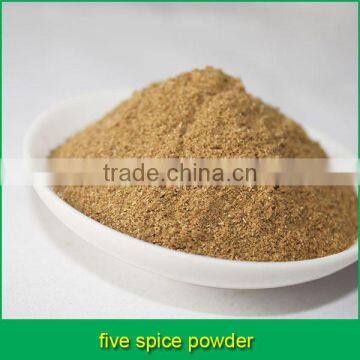 chinese traditional five spice powder