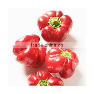 Red Paprika Natural Oleoresin