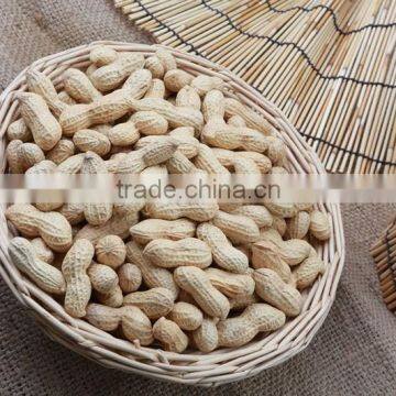 New Crop Red Skin Peanuts Kernels
