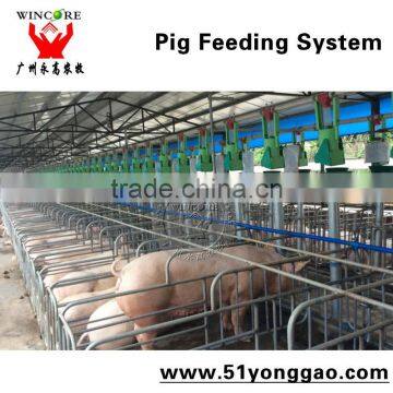 Factory Outlet automatic feeding system for pig farm equipment