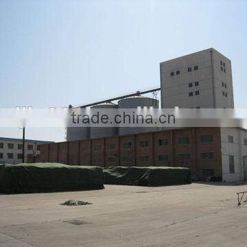 Wheat Gluten Meal photo-6