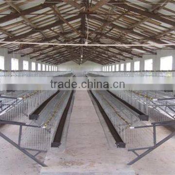 Meat Chicken Cage (Direct Factory) photo-4