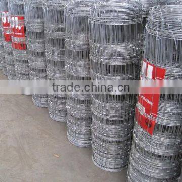 Safety Field Fence( Factory Exporter) photo-3