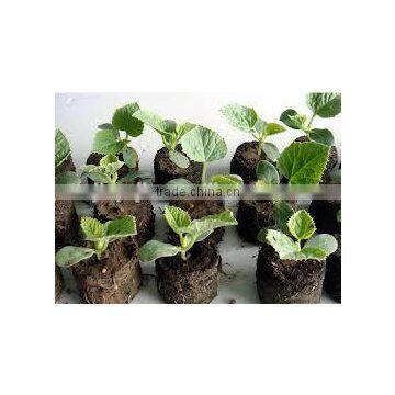 Seed Nutritive Block Making Machine photo-2