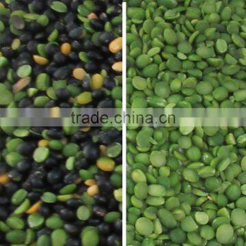 High Capacity Dal Optical Color Sorter in Agriculture photo-3