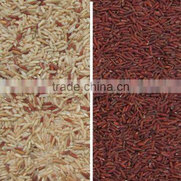 Red Rice Color Sorter photo-3
