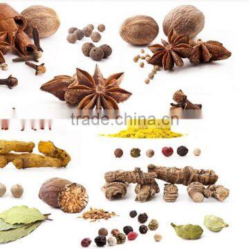 Belt Type of Spice Microwave Fumigation Machine/sterilizing Machine photo-2