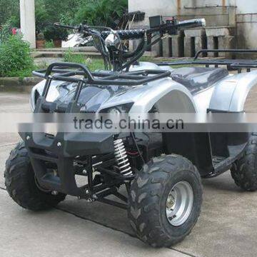 800W Brushless Motor / Shaft Elelctric Quad ATV 800W (TKE-A800-G) photo-3