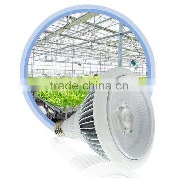 Made In China Led Grow Light Greenhouse Horticulture Used LED Grow Light