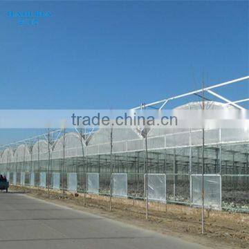 Zigzag Easily Installed PC Sheet Covered Greenhouse