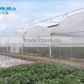 Factory Price BLD001 Plasctic Film Cover Greenhouse for Agricultural and Commercial Use photo-3
