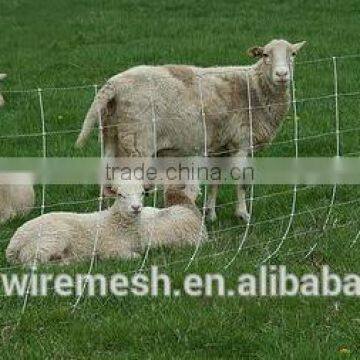 Cattle Fence /Grassland Farm Fence / Farm Guard Field Fence Price photo-3