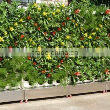 Double Sided Green Wall System for Office photo-6