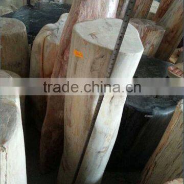 Petrified /fossilized Wood,Luxary Nature Decorative Stone,high Value for Collection photo-2