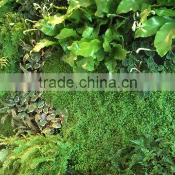 Home and Outdoor Decoration Synthetic Cheap Artificial Vertical Green Grass Wall E08 04R25 photo-2