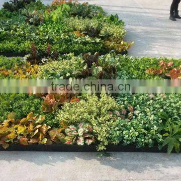 Home and Outdoor Decoration Synthetic Cheap Artificial Vertical Green Grass Wall E08 04R18 photo-5