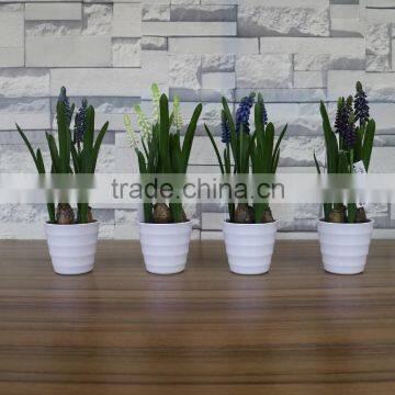 Plastic Hyacinth Flower Bonsai for Home and Commercial Decoation photo-6