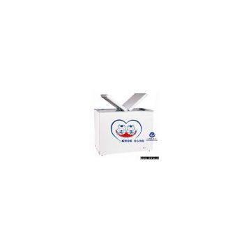 Double Cabinets Freezer