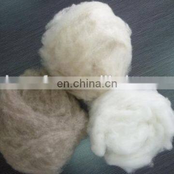 China manufacturer dehaired and carded cashmere fibre15.5-16.5mic/22-38mm