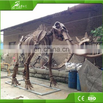 High simulation fibergalss animal skeleton fossil for display