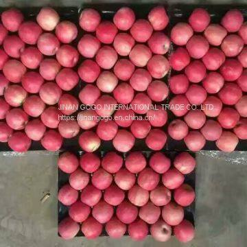 Fresh Fruit/Apple photo-2