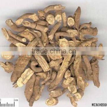 Essential Factory Supply Natural Costus Root Oil