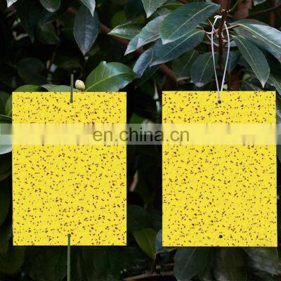 Dual-Sided  Plant Protection Fungus Gnats, Aphids, Whiteflies, Leafminers Yellow Insect Sticky Trap