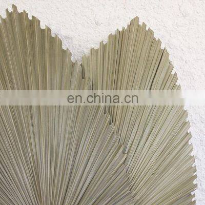 !00% Nature Cheap in Bulk Palm Leaf Fan Wall Art Traditional Woven Decoration Best Price Wholesale photo-4
