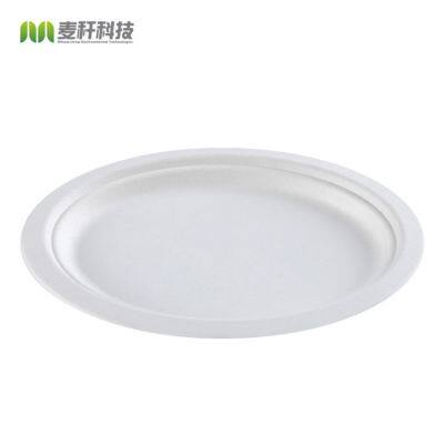 Disposable Biodegradable Bagasse 7*10 Inch Oval Plate Take Away Sugarcane photo-3