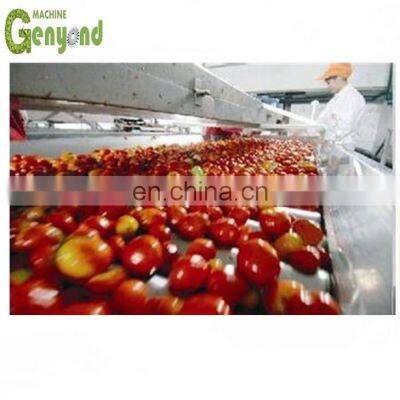 Tomato canning equipment