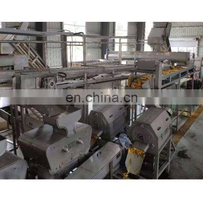 Automatic high quality prickly pear juice production line