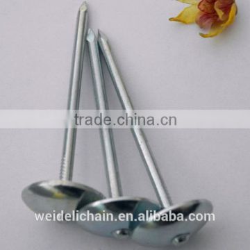 galvanized roofing nails/ umbrella roofing nails