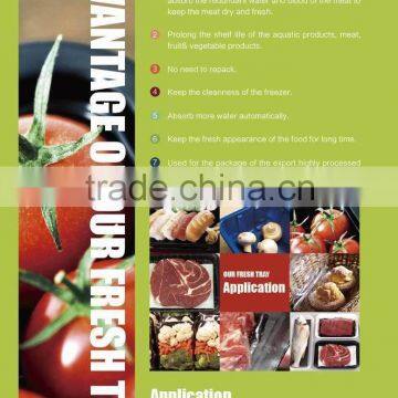 Advanced Craft With Absorbent Pad Disposable Plastic Frozen Meat Packing Box photo-3