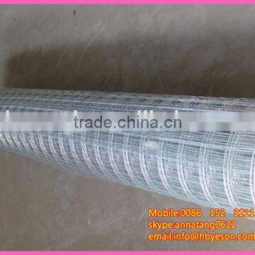 1" hot dip galvanized iron wire mesh fence