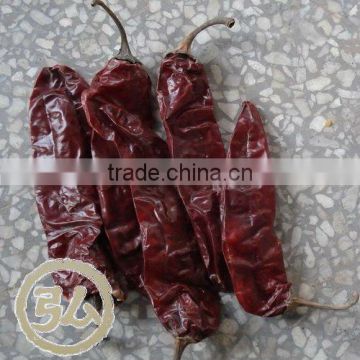 new crops, Origin Xinjiang, sweet paprika