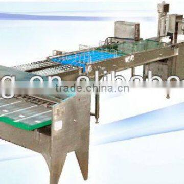 China stainless steel egg machine