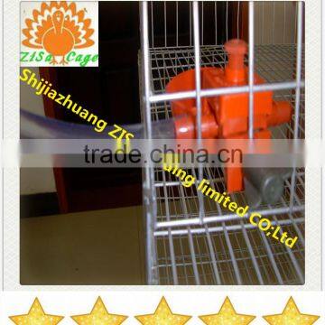 china zisa factory atomatic water system quail cage equipment