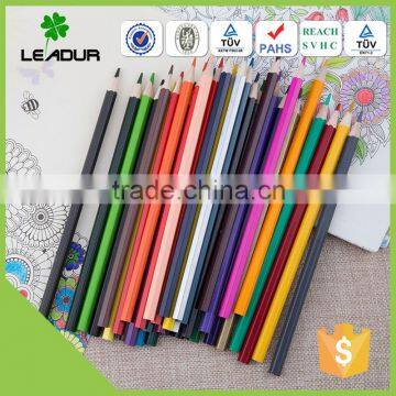Personal Customized 24/48 Pcs High Quality Color Pencil Set Quality Choice photo-5